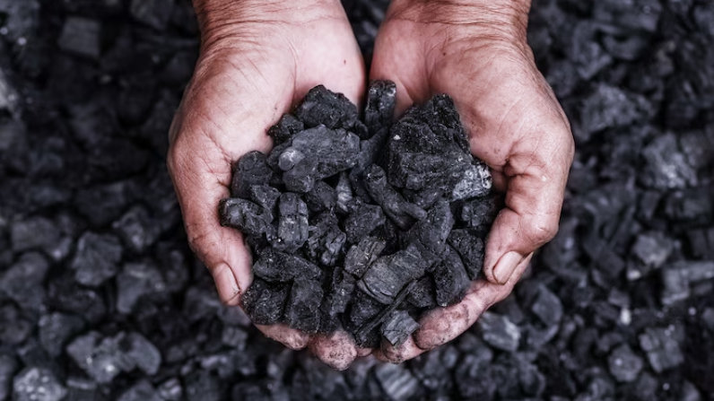 Why Is Bulk Coal Purchase a Smart Move?